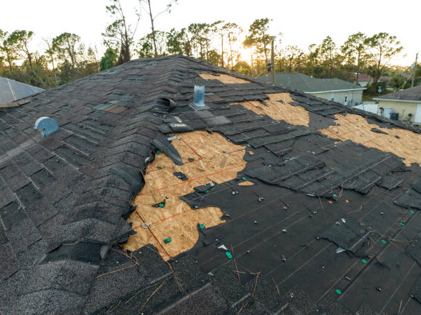 Best Roof Moss and Algae Removal  in Kalama, WA